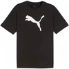 Marškinėliai Puma Team Rise Logo Cotton M 658705 03