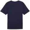 Marškinėliai Puma Team Rise Logo Jersey Cotton M 658705 06