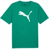 Marškinėliai Puma Team Rise Logo Jersey Cotton M 658705 05