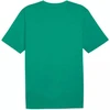 Marškinėliai Puma Team Rise Logo Jersey Cotton M 658705 05
