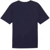 Marškinėliai Puma Team Rise Logo Jersey Cotton M 658705 06