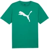 Marškinėliai Puma Team Rise Logo Jersey Cotton M 658705 05