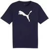 Marškinėliai Puma Team Rise Logo Jersey Cotton M 658705 06