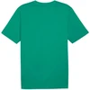 Marškinėliai Puma Team Rise Logo Jersey Cotton M 658705 05