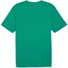 Marškinėliai Puma Team Rise Logo Jersey Cotton M 658705 05