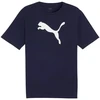 Marškinėliai Puma Team Rise Logo Jersey Cotton M 658705 06