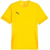 Marškinėliai Puma teamGoal Matchday Jersey M 705747 07