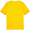 Marškinėliai Puma teamGoal Matchday Jersey M 705747 07