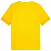 Marškinėliai Puma teamGoal Matchday Jersey M 705747 07