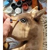 Super Hobby Horse Medinis hobio arkliukas Haflinger