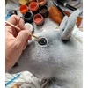 Super Hobby Horse Medinis hobis arkliukas – pilkas su balta karčiais
