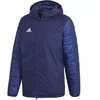 Mėsinis striukė adidas Winter Jacket 18 M CV8271