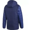 Mėsinis striukė adidas Winter Jacket 18 M CV8271
