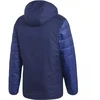 Mėsinis striukė adidas Winter Jacket 18 M CV8271