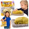 Lean Toys Miegantis Labradoro Šuniukas Ant Pagalvės Su Krepšiu
