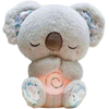 Migdukas Dreamy Koala
