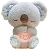 Migdukas Dreamy Koala