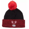 Mitchell & Ness NBA dviejų spalvų kepurė HWC Chicago Bulls