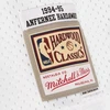 Mitchell & Ness Orlando Magic Penny Hardaway 1994-1995 Balta Juoda Swingman marškinėliai