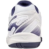Mizuno Cyclone Speed 4 M V1GA238043 tinklinio bateliai