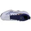 Mizuno Wave Momentum 3 M V1GA231243 batai