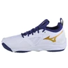 Mizuno Wave Momentum 3 M V1GA231243 batai