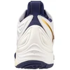 Mizuno Wave Momentum 3 MID Tinkšliai tinklinio bateliai V1GA231743