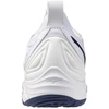 Mizuno WAVE MOMENTUM 3 V1GA231297 batai