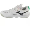 Mizuno Wave Momentum Elite V1GA251221 Balta 41