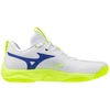 Mizuno WAVE MOMENTUM ELITE V1GA251239 batai