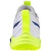 Mizuno WAVE MOMENTUM ELITE V1GA251239 batai