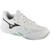 Mizuno Wave Momentum Pro V1GA254021 Balti 41