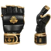 BUSHIDO MMA pirštinės - Aureos - Valor serija