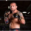 BUSHIDO MMA ringtynių pirštinės M - Aureos - Valor Series