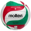 Molten 3000 V4M3000-L Tinklinio Kamuolio