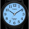 Moteriškas laikrodis TIMEX EASY READER TW2W32600 + BOX