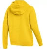 Moteriškas Nike Park 26 Fleece bliuzonas geltonas IB1224 719