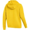 Moteriškas Nike Park 26 Fleece bliuzonas geltonas IB1224 719