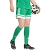 Moteriški žali šortai Squadra 25 Adidas JN7483
