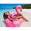 Moteriškos bikini kelnaitės Aniza M-828