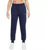 Moteriškos kelnės Nike Sportswear Phoenix Fleece FZ7626-410