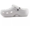 Moterų platforminiai klumpės Crocs Classic Platform Glitter Clog W 207241-0WV Chalk