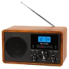 Nešiojamas analoginis radijo imtuvas BLOW AM/FM RA9 V.2