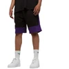 New Era NBA Spalvų Blokų Šortai Lakers M 60416375
