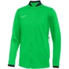 Nike Academy 25 Jaunimo sportinė striukė FZ9836-329