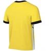 Nike Academy 25 SS marškinėliai trumpomis rankovėmis M FZ9754 719