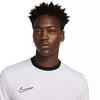 Nike Academy 25 SS Top M FZ9754 100