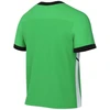 Nike Academy 25 SS Top M FZ9754-329