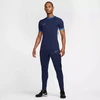 Nike Academy 25 SS Top M FZ9754-410