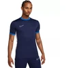 Nike Academy 25 SS Top M FZ9754-410